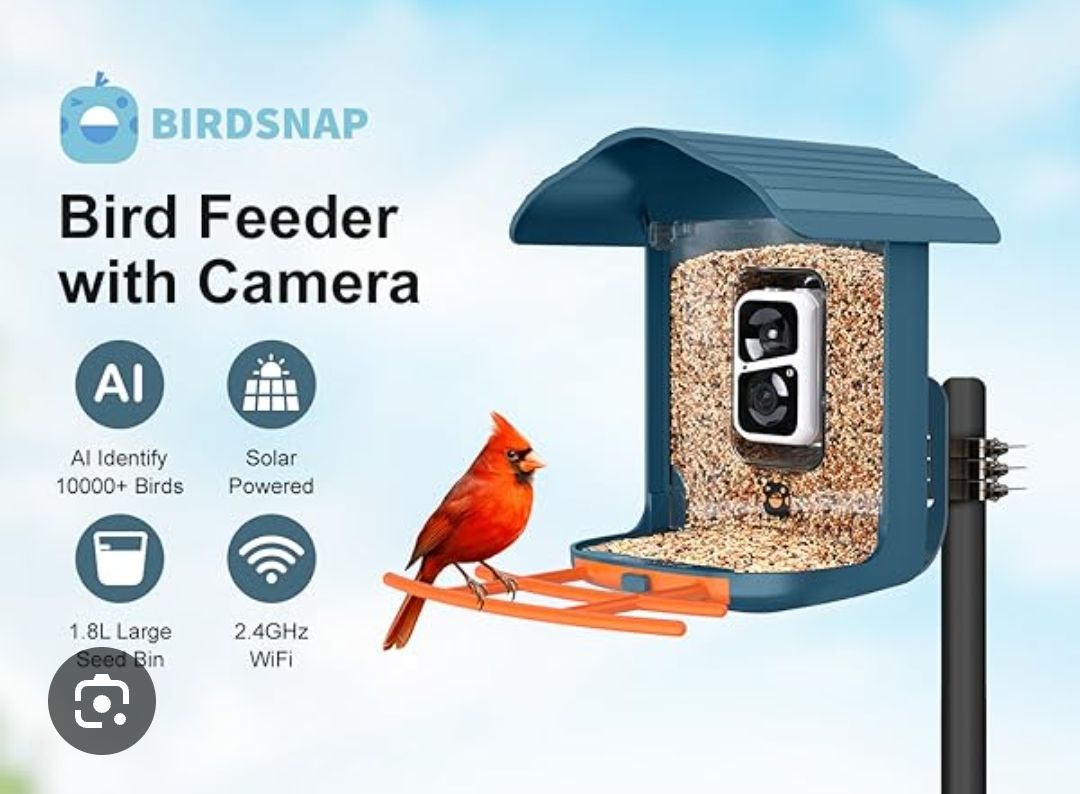 Bird feeder camara 