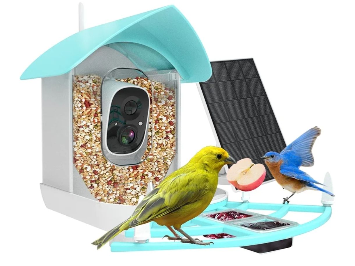 Comedero inteligente para pájaros con cámara