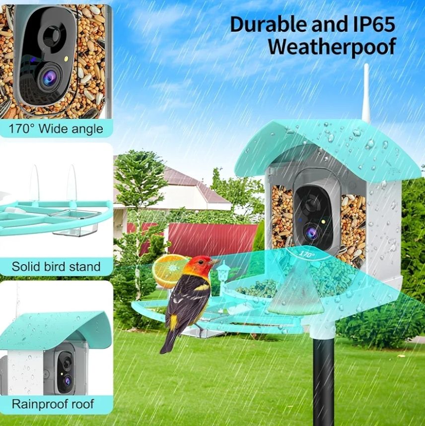 Comedero inteligente para pájaros con cámara
