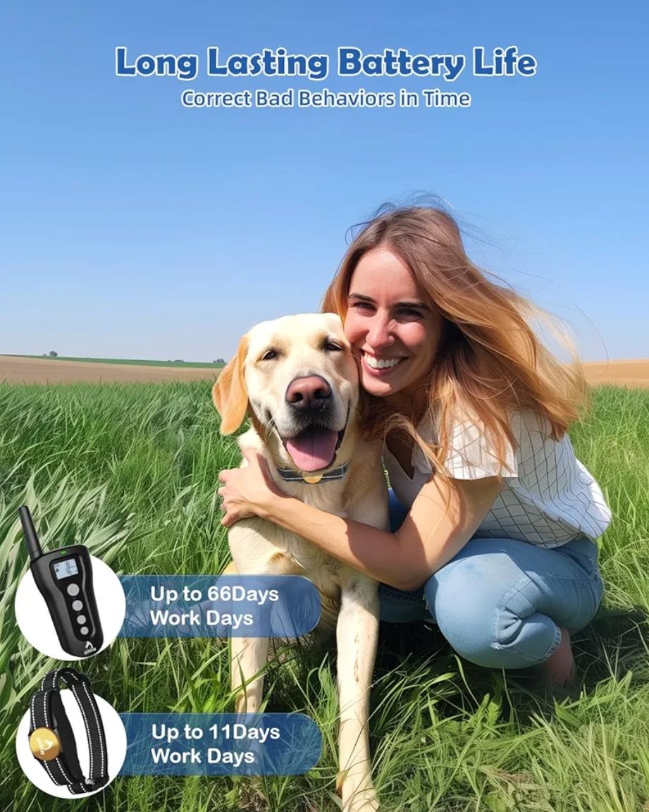 Collar de entrenamiento para perros