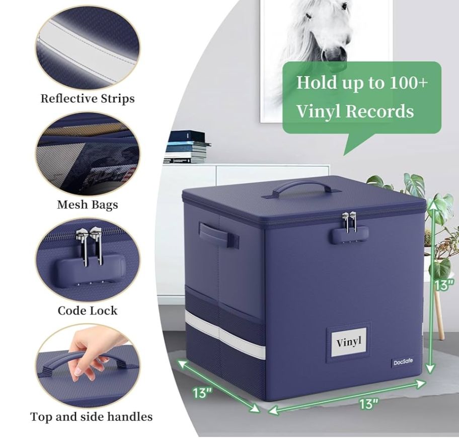 Caja de almacenamiento de discos de vinilo