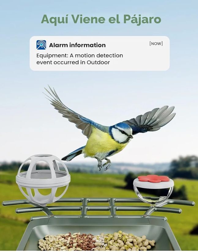 Comedero para pájaros con cámara solar