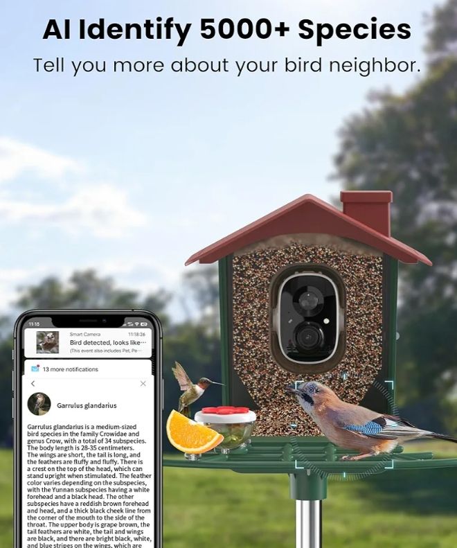 Comedero para pájaros con cámara solar