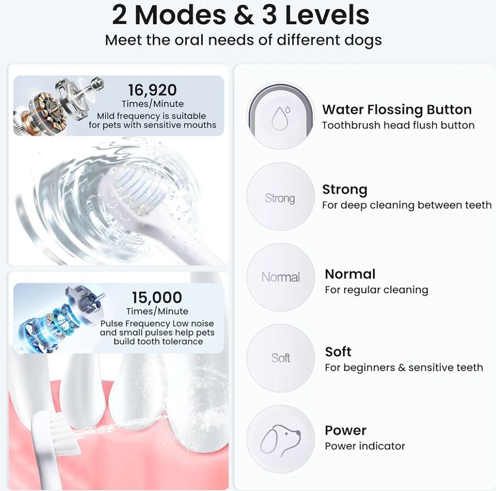 Kit de cepillado de dientes para perros, herramientas de limpieza de dientes