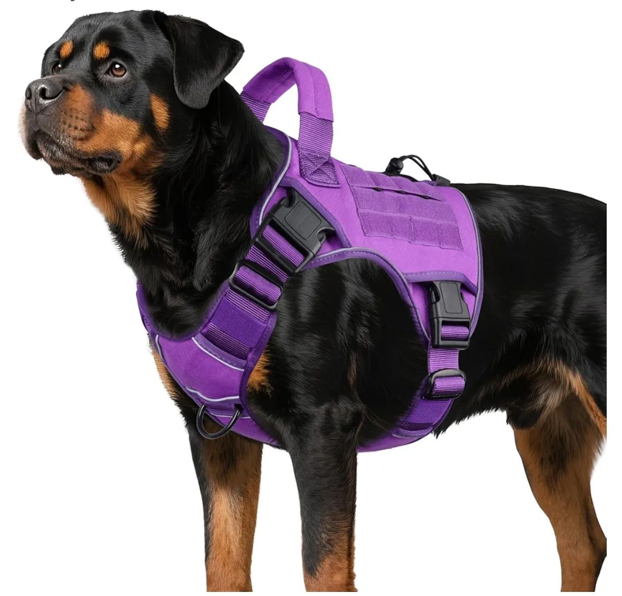 WINGOIN Arnés Táctico para Perros Grandes