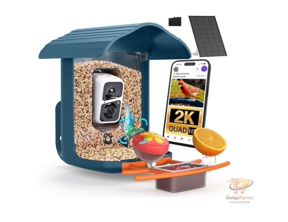 Bird feeder camara 