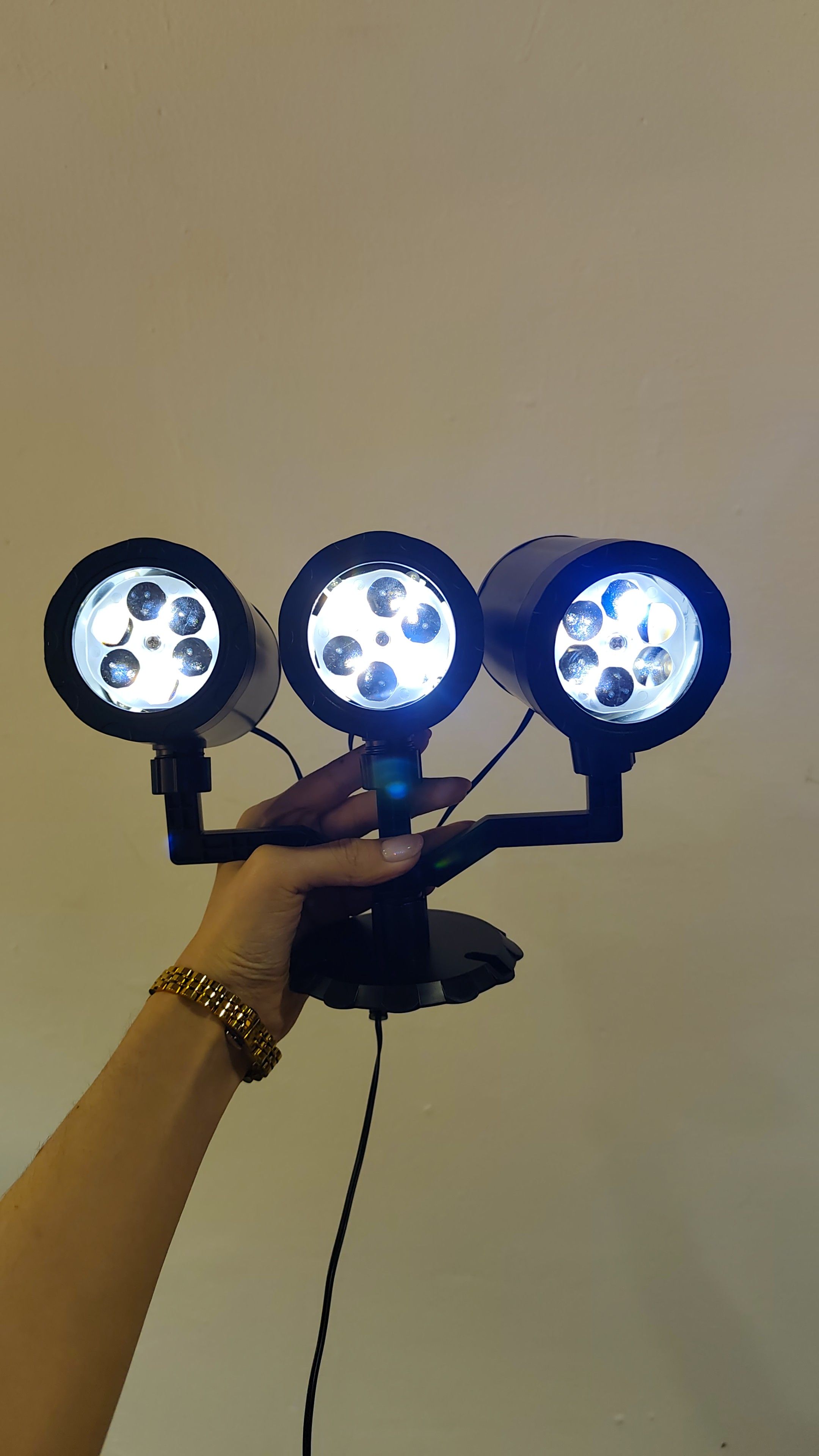 Proyector De Copo De Nieve 