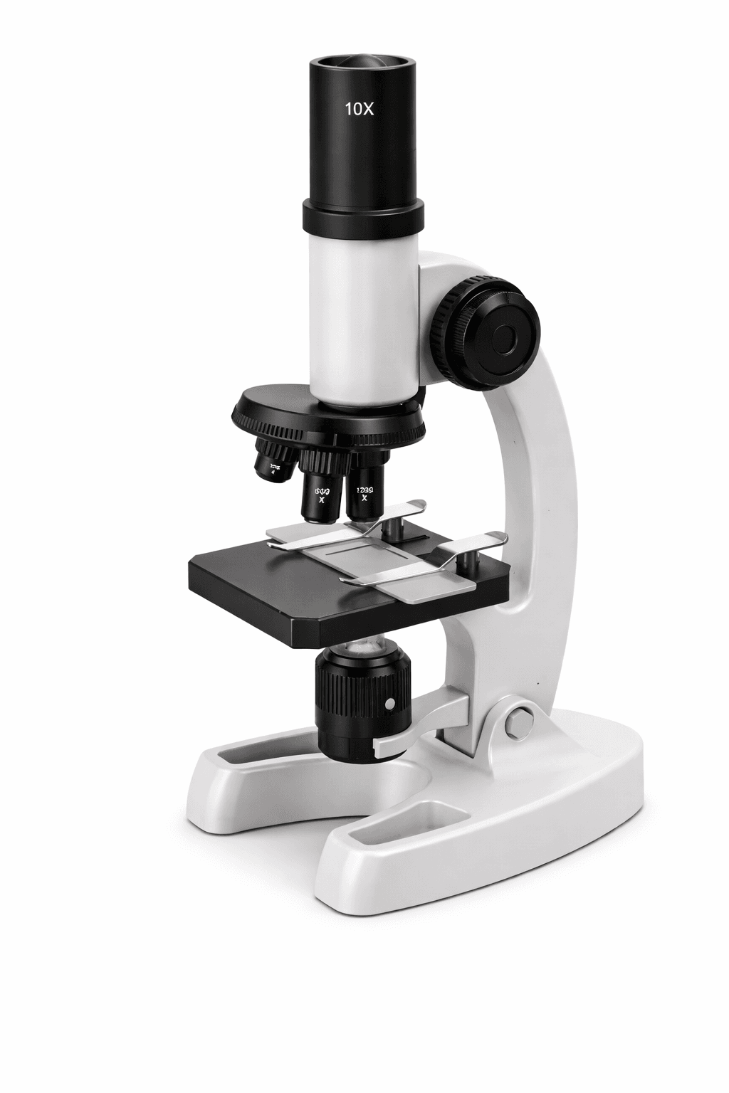 Microscopio 300–1200X